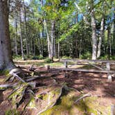 Review photo of Little Moose Pond Campsite by Nancy W., December 31, 2022