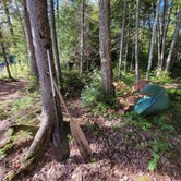 Review photo of Little Moose Pond Campsite by Nancy W., December 31, 2022