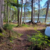 Review photo of Little Moose Pond Campsite by Nancy W., December 31, 2022