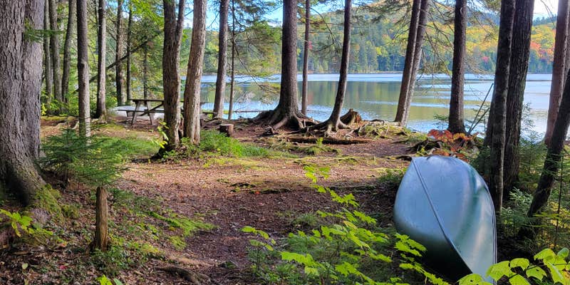 Camper submitted image from Little Moose Pond Campsite