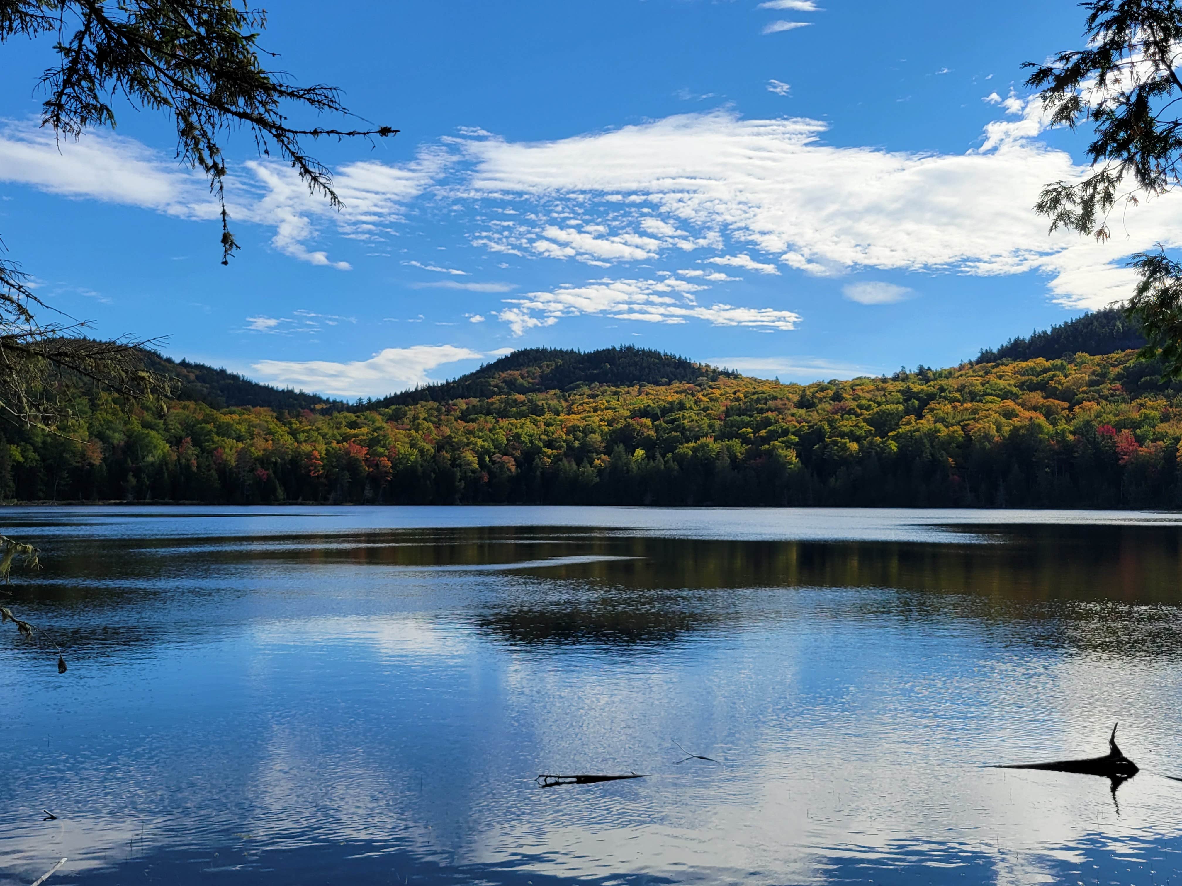 Camper submitted image from Little Moose Pond Campsite - 5