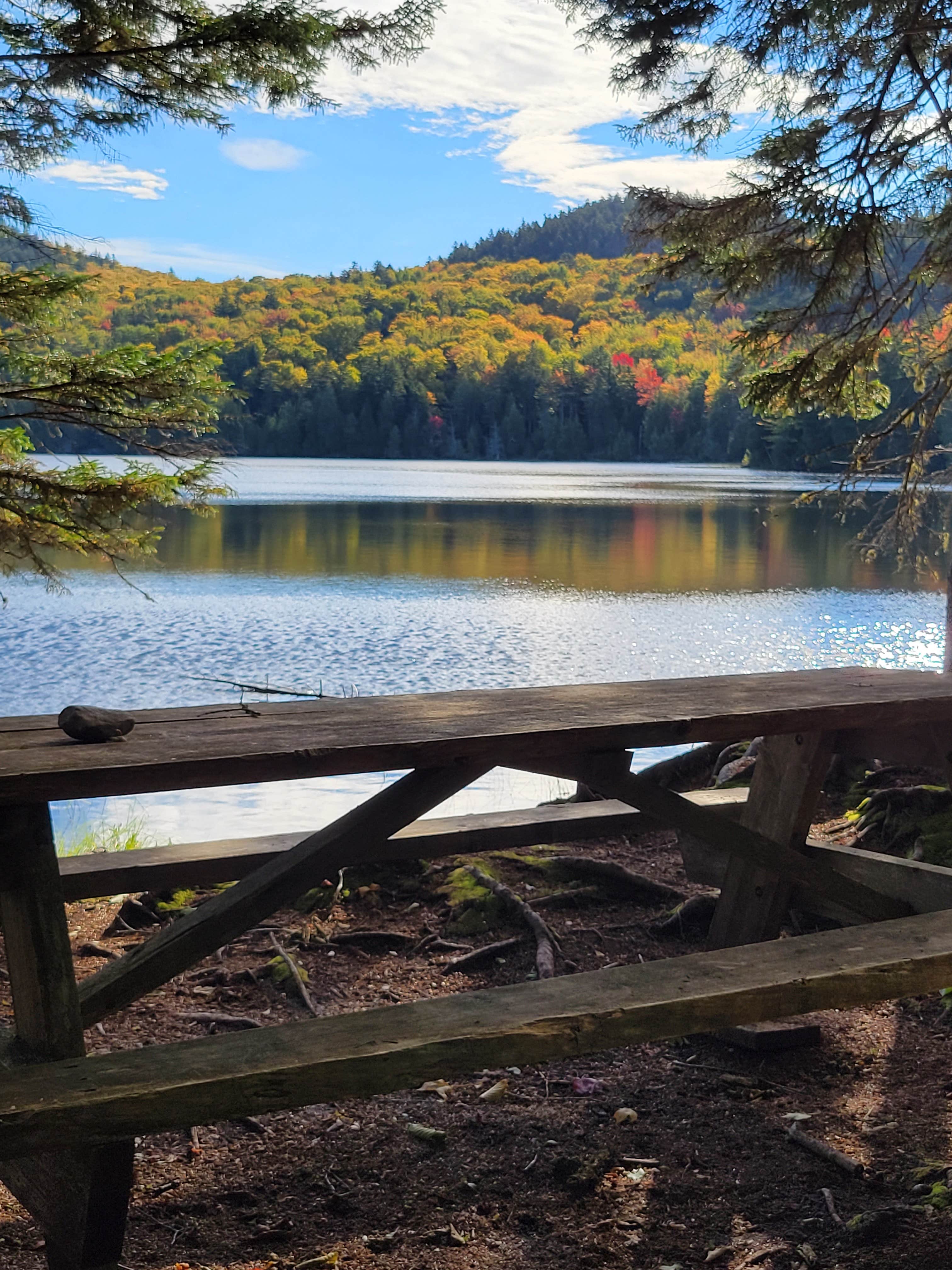 Camper submitted image from Little Moose Pond Campsite - 4