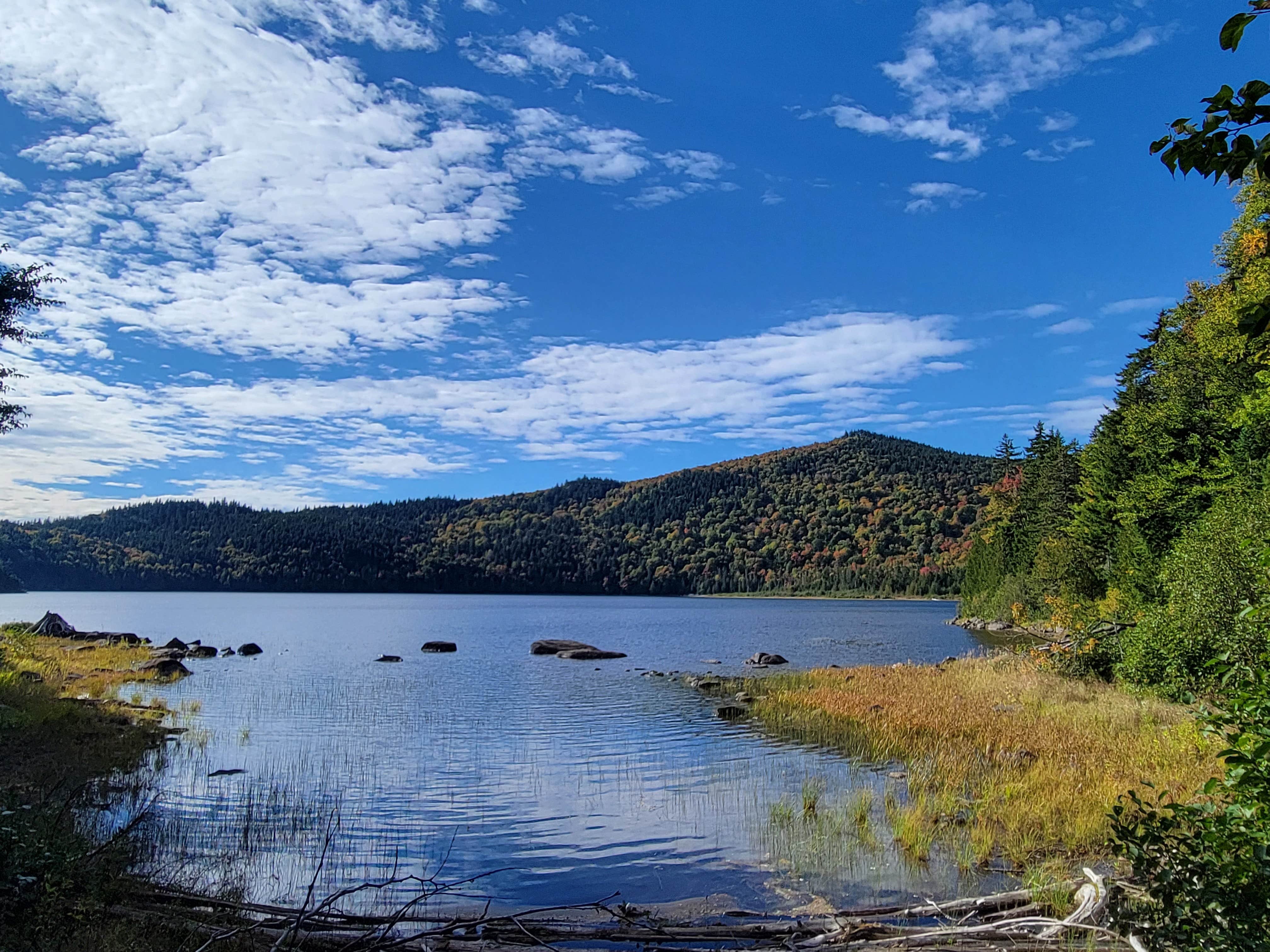 Camper-submitted photo at Little Moose Pond Campsite near Frenchtown, ME