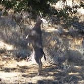 Review photo of Thousand Trails San Benito by Butch C., September 25, 2018