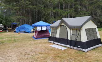 Curtis H.'s photo at Jarrell Cove State Park Campground near Shelton, WA