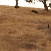 Review photo of Thousand Trails San Benito by Butch C., September 25, 2018