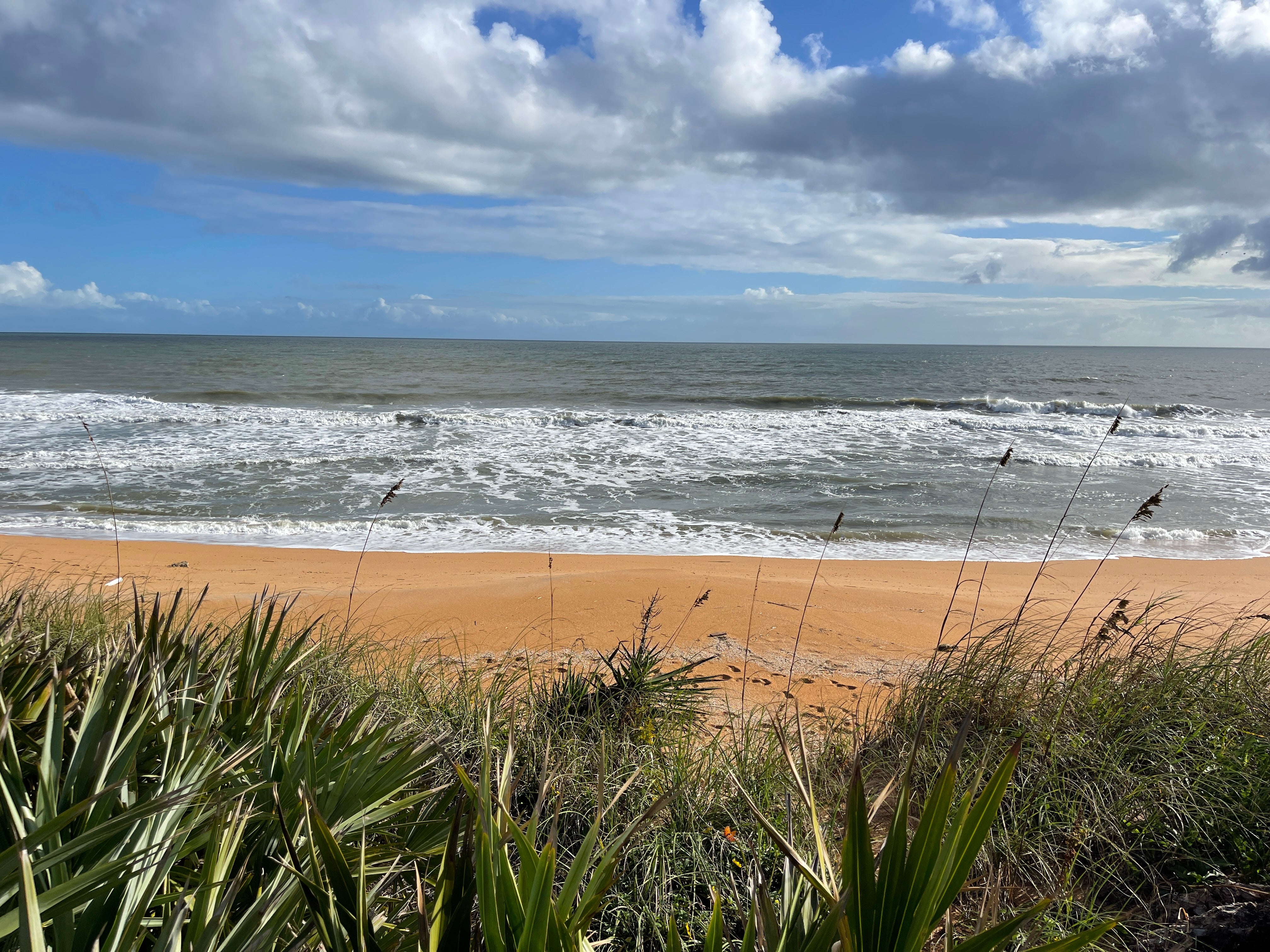 Camper submitted image from Gamble Rogers Memorial State Recreation Area at Flagler Beach - 2