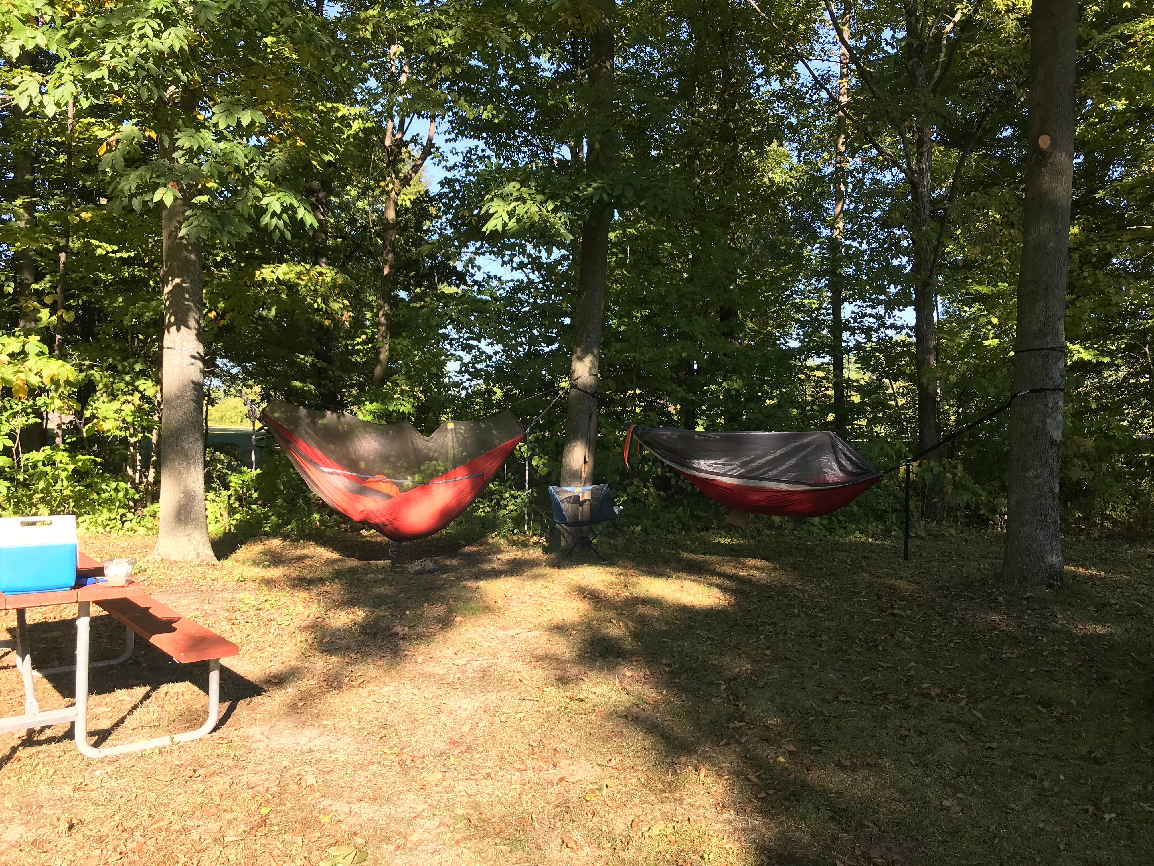 Camper-submitted photo at Robert Moses State Park Campground near Massena, NY