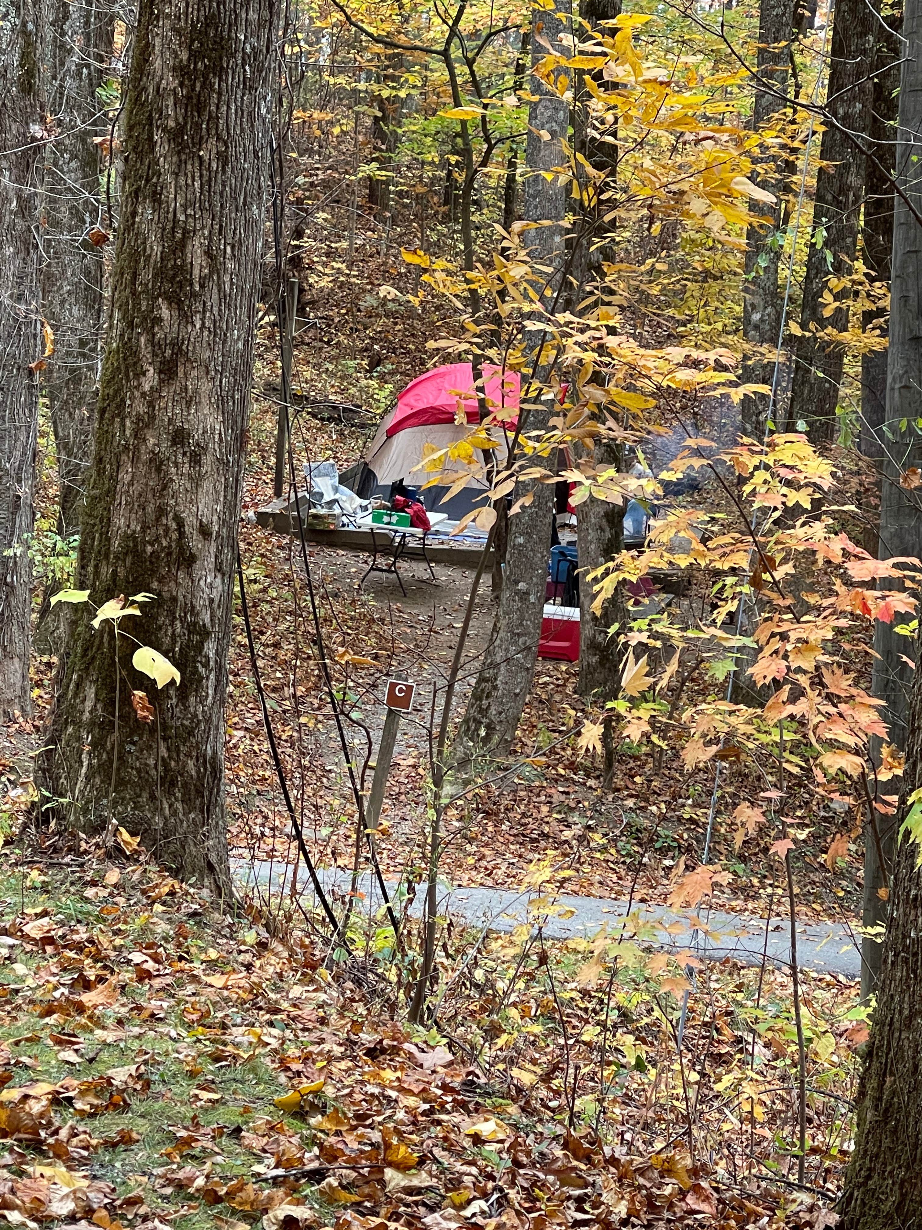 Lee D.'s photo at Black Rock Mountain State Park Campground near Sky Valley, GA