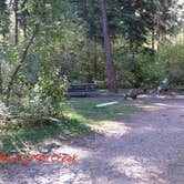 Review photo of Pine Creek Campground by Terri K., September 25, 2018