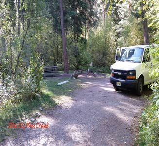 Camper-submitted photo from Pine Creek Campground