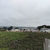 Review photo of Half Moon Bay State Beach Campground by Elliott B., September 25, 2018