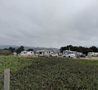 Camper-submitted photo from San Francisco North-Petaluma KOA