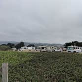 Review photo of Half Moon Bay State Beach Campground by Elliott B., September 25, 2018