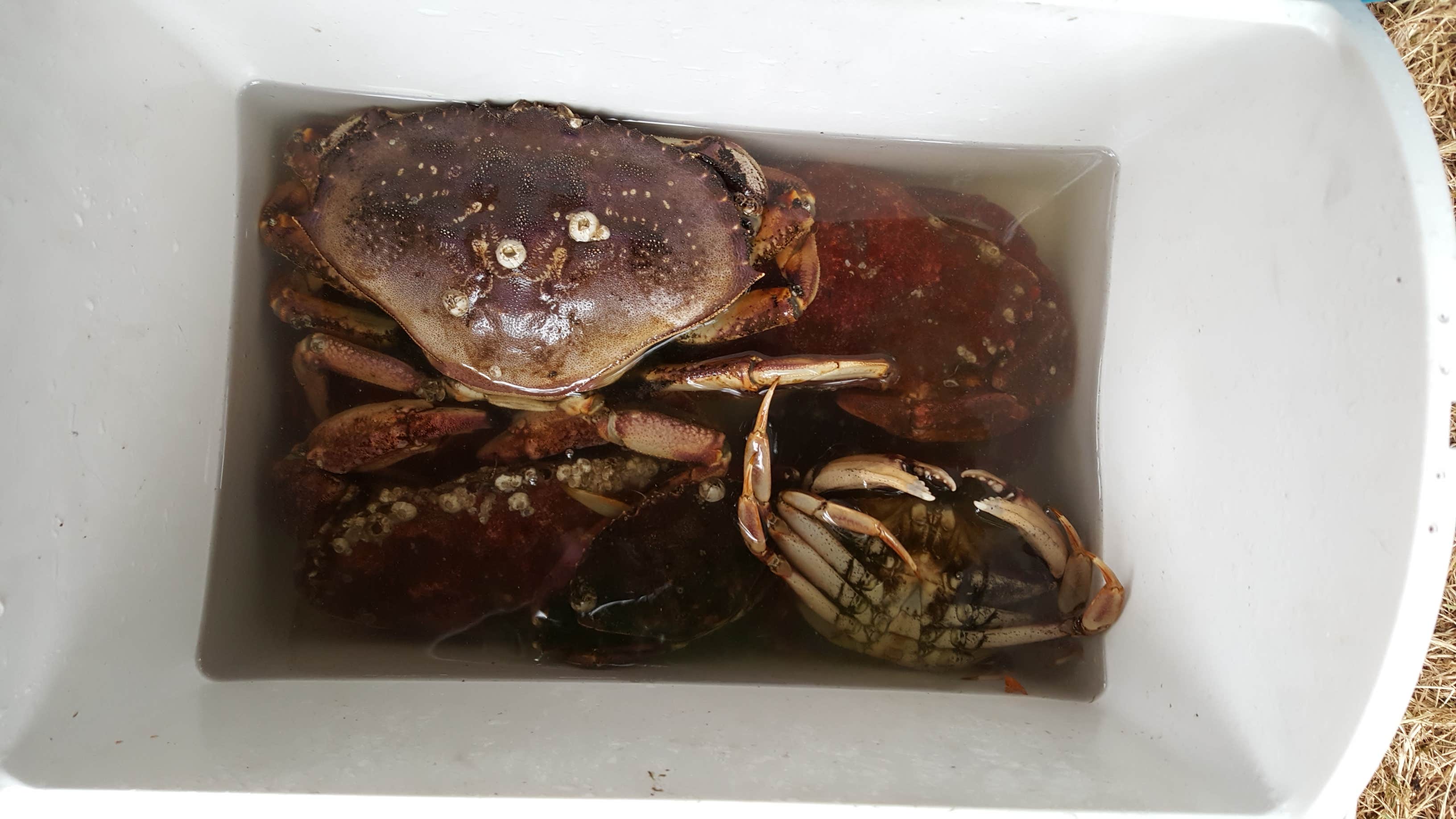 Camper-submitted photo at Jarrell Cove State Park Campground near Gig Harbor, WA