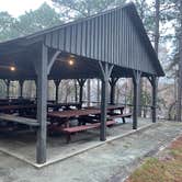 Review photo of George L Smith II State Park Campground by Lee D., January 1, 2023