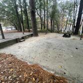 Review photo of George L Smith II State Park Campground by Lee D., January 1, 2023