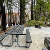 Review photo of George L Smith II State Park Campground by Lee D., January 1, 2023