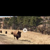 Review photo of French Creek Horse Camp — Custer State Park by Lesley R., January 1, 2023