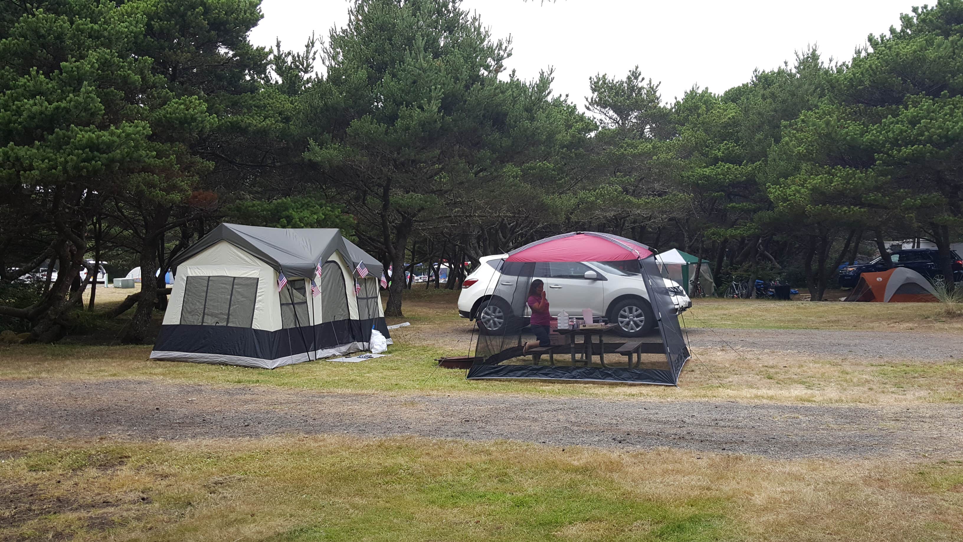 Camper submitted image from Twin Harbors State Park Campground - 3