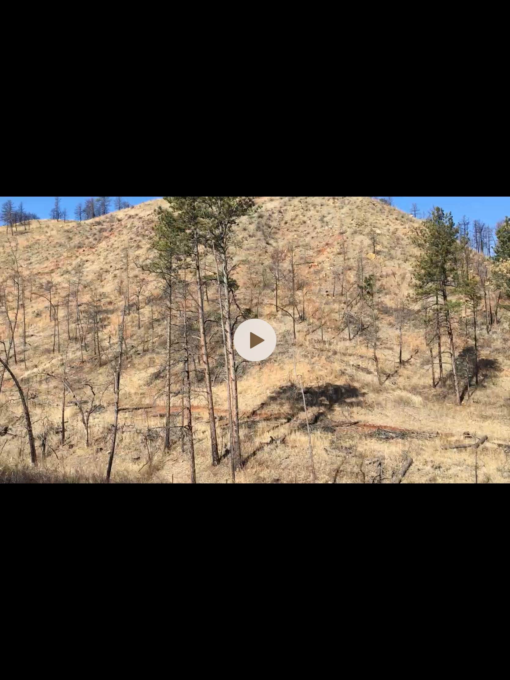 Camper-submitted photo at French Creek Horse Camp — Custer State Park near Fairburn, SD