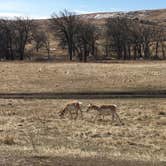 Review photo of French Creek Horse Camp — Custer State Park by Lesley R., January 1, 2023