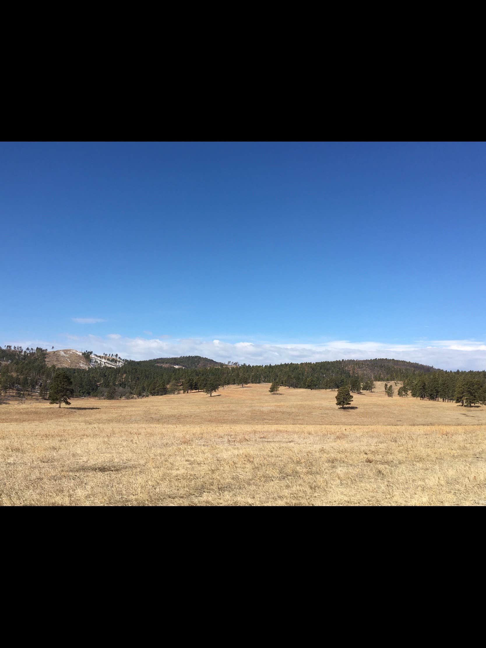 Camper-submitted photo at French Creek Horse Camp — Custer State Park near Fairburn, SD