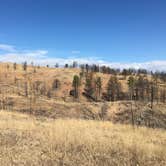 Review photo of French Creek Natural Area - Custer State Park by Lesley R., January 1, 2023