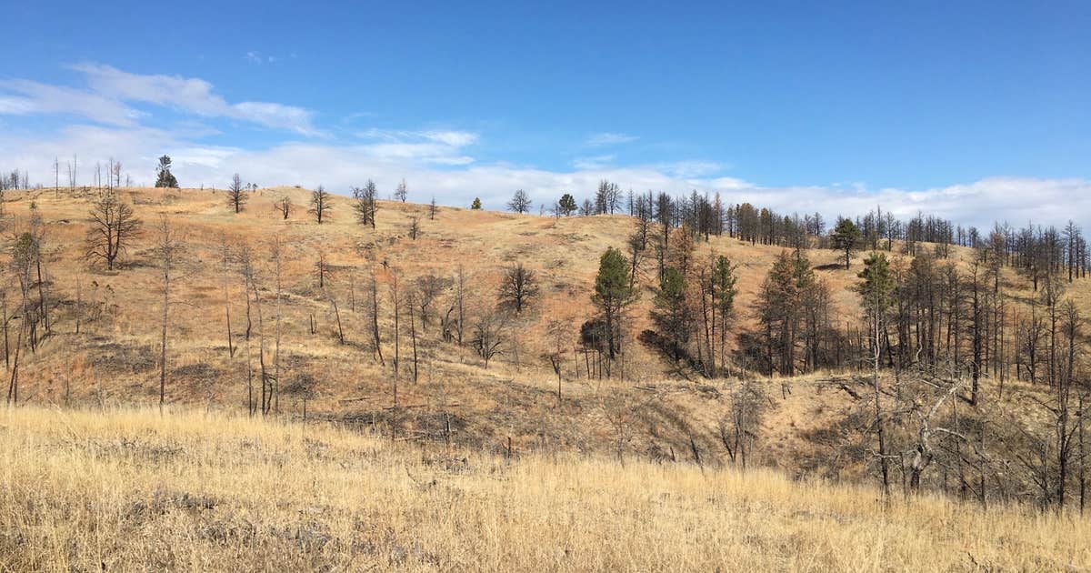 French Creek Horse Camp — Custer State Park