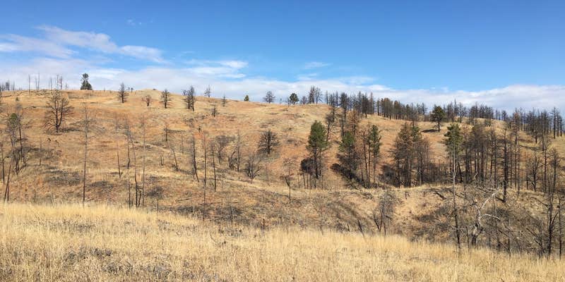 Camper submitted image from French Creek Horse Camp — Custer State Park