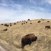 Review photo of French Creek Natural Area - Custer State Park by Lesley R., January 1, 2023