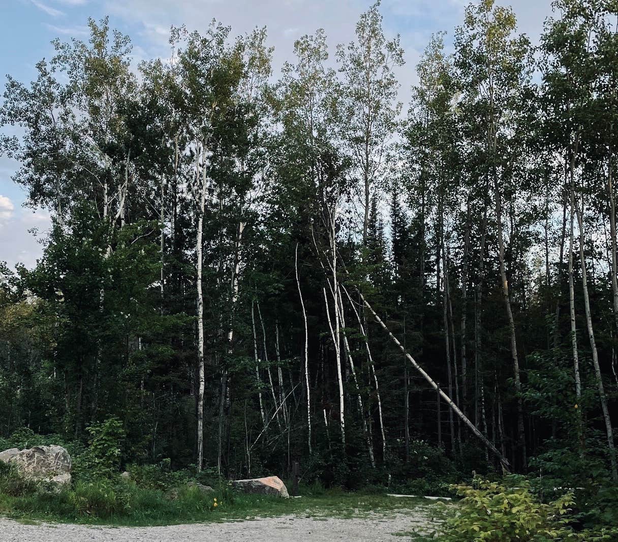 Camping near Fisherman's Point City Campground: Vermilion Campground, Biwabik, Minnesota