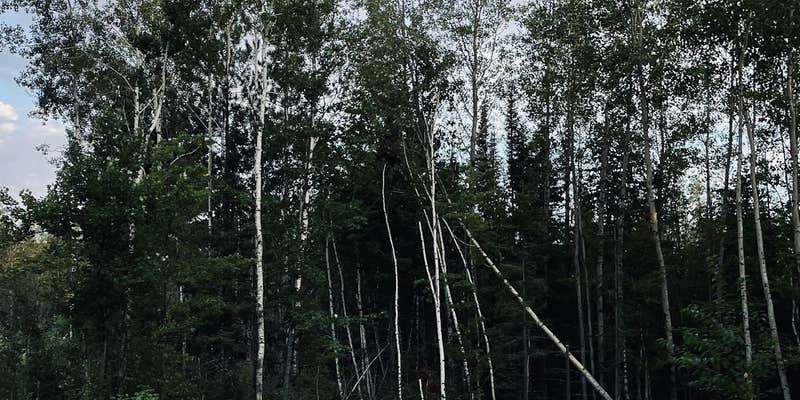 Camper submitted image from Vermilion Campground