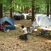 Review photo of Pawtuckaway State Park Campground by M.A.D. P., January 1, 2023