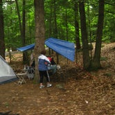 Review photo of Pawtuckaway State Park Campground by M.A.D. P., January 1, 2023