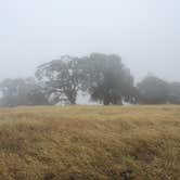 Review photo of Live Oak Campground — Mount Diablo State Park Campground by Haley C., September 25, 2018