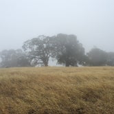 Review photo of Mount Diablo State Park Campground by Haley C., September 25, 2018