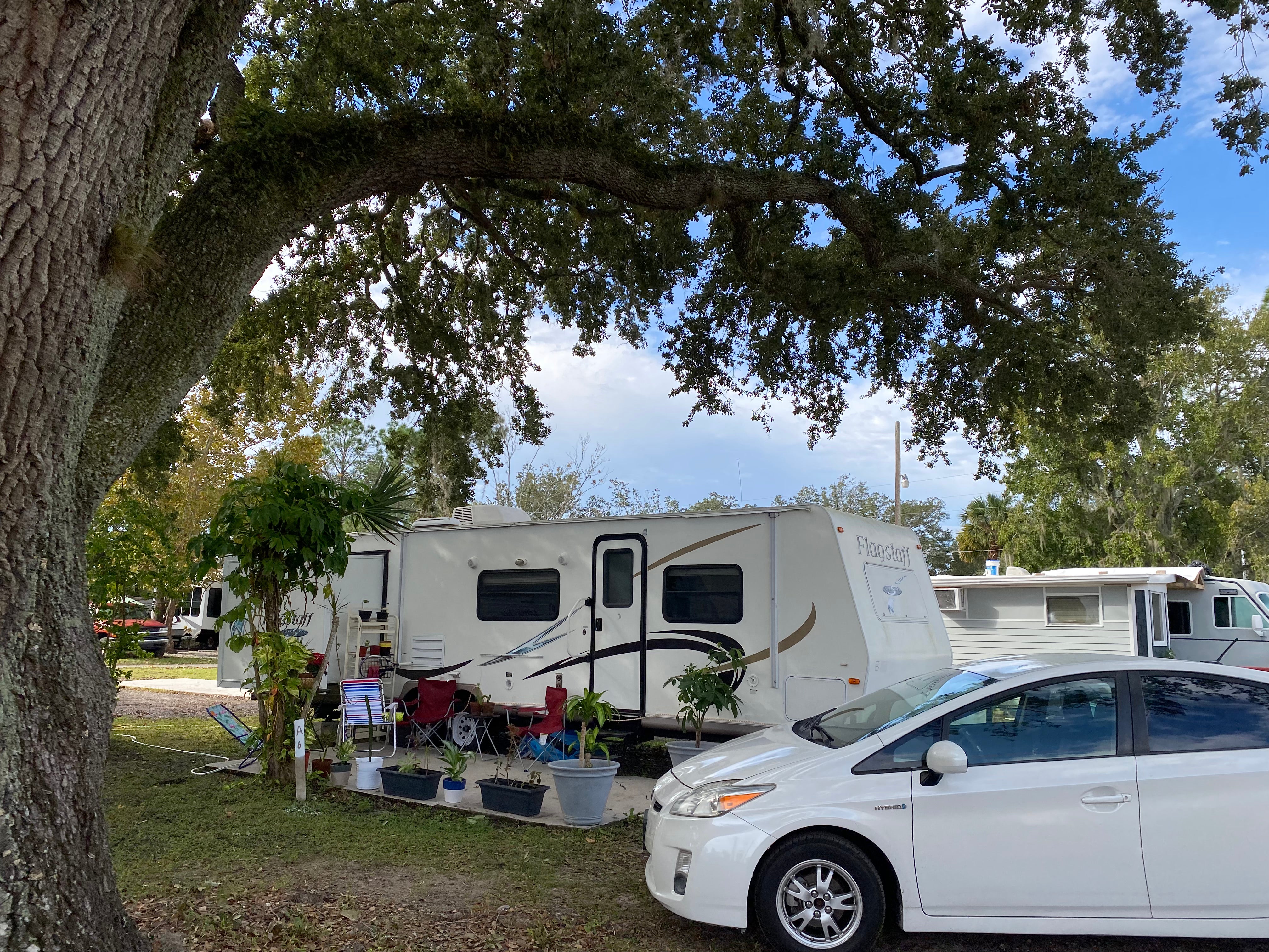 Camper submitted image from Aloha RV Park - 1