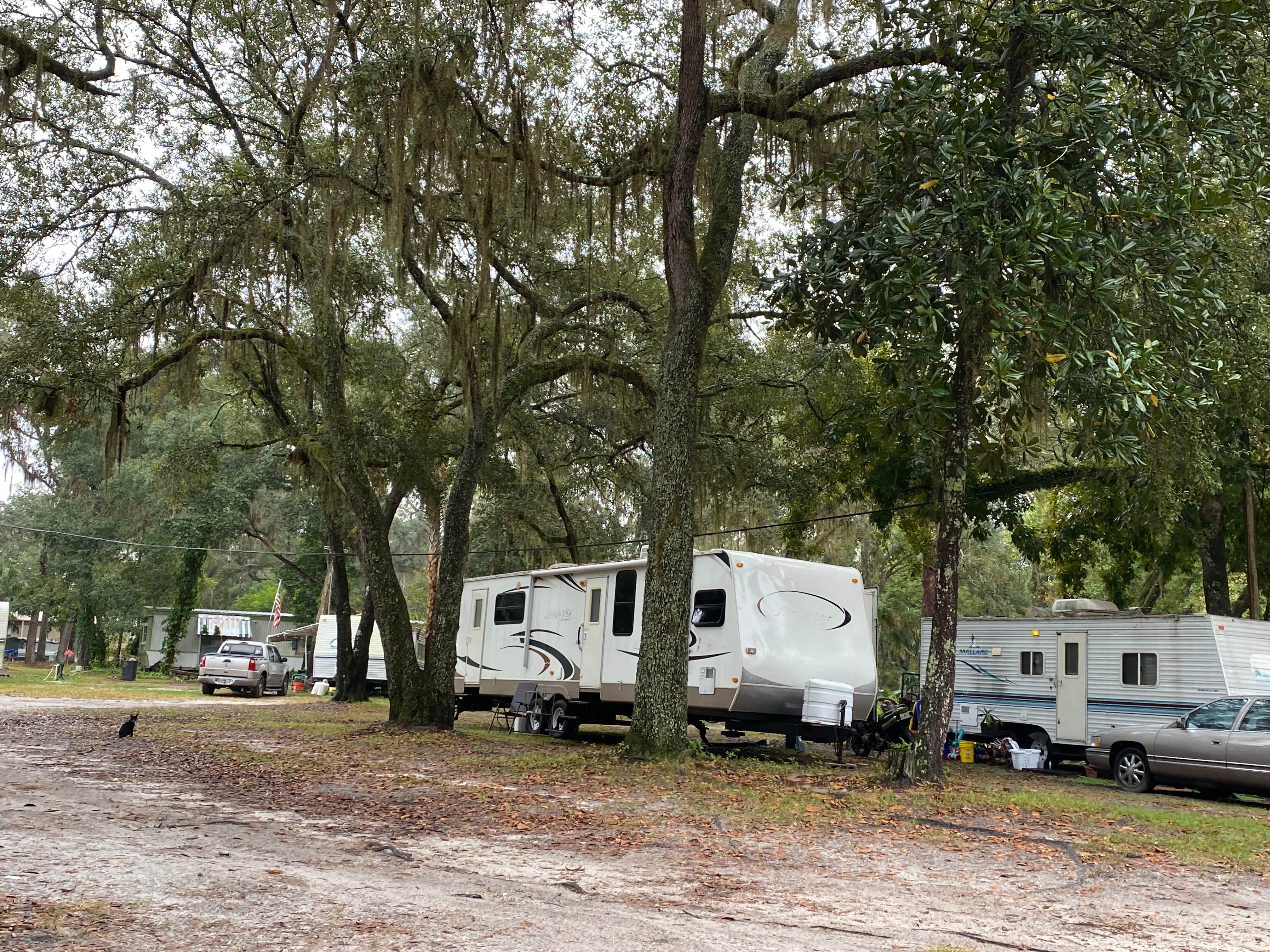 Camper submitted image from St Johns Campgrounds - 3