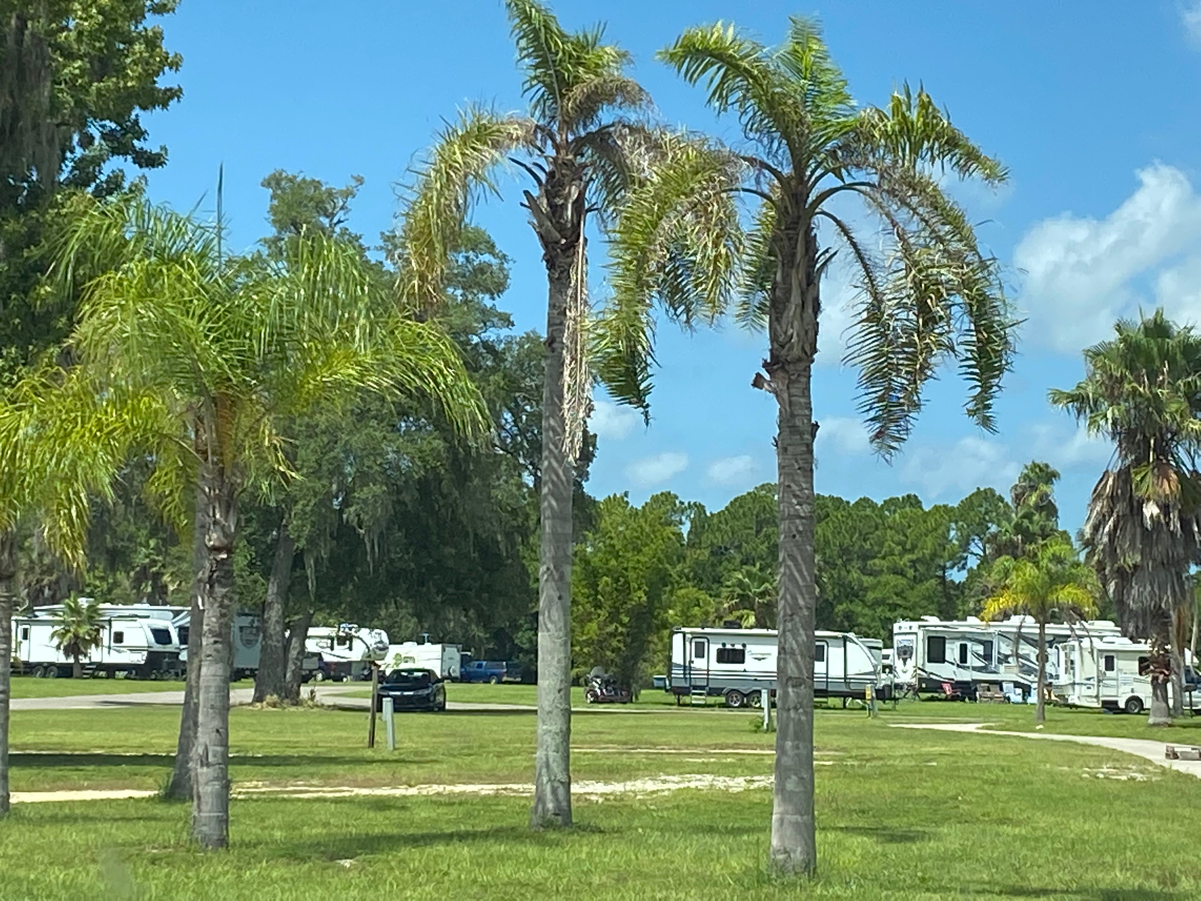 Camper submitted image from South Daytona RV Park &Tropical Gardens - 2
