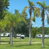 Review photo of South Daytona RV Park &Tropical Gardens by Stuart K., January 1, 2023