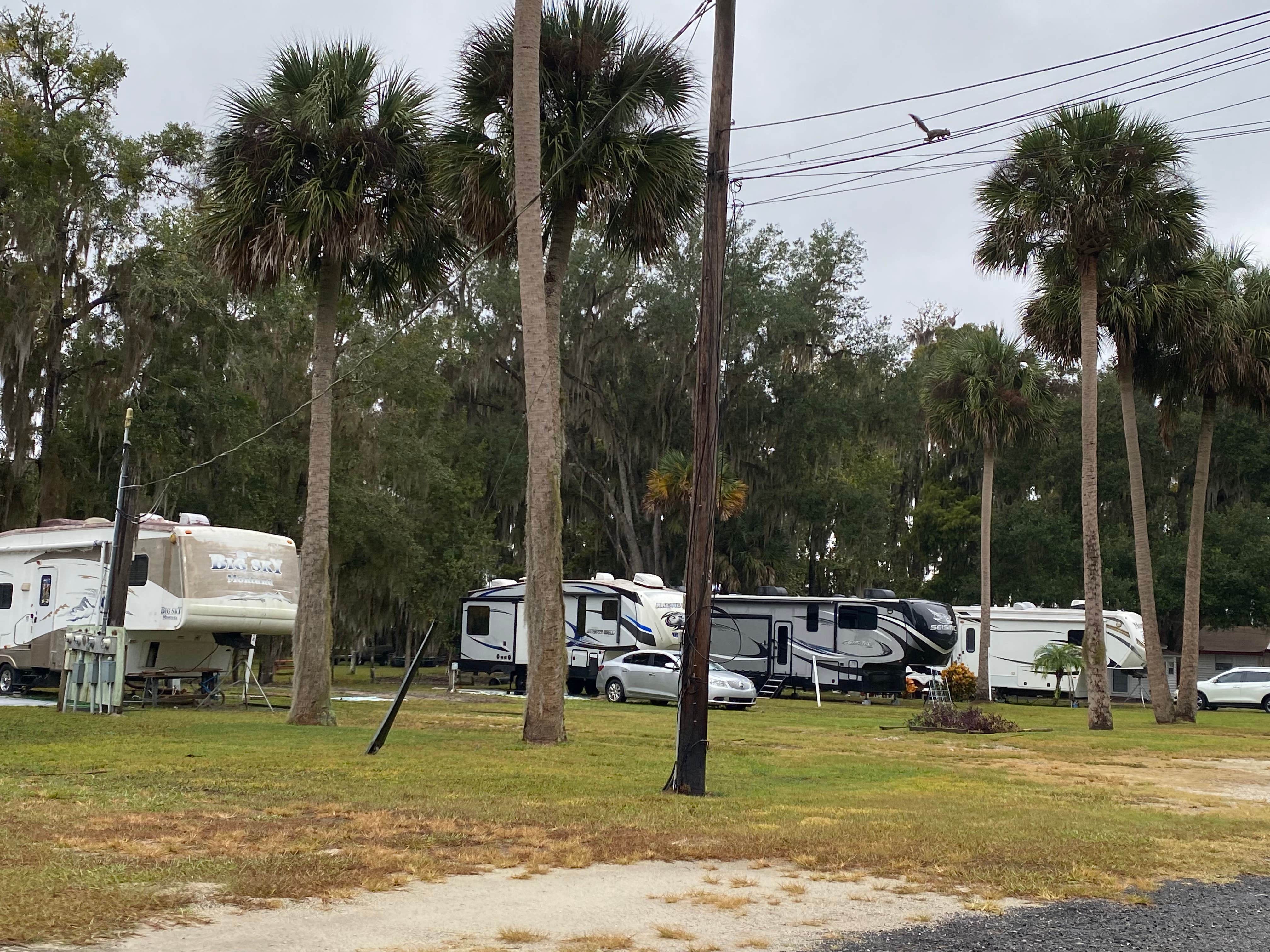 Stuart K.'s photo of rv camping at Lynch's Landing RV Park near Satsuma, FL