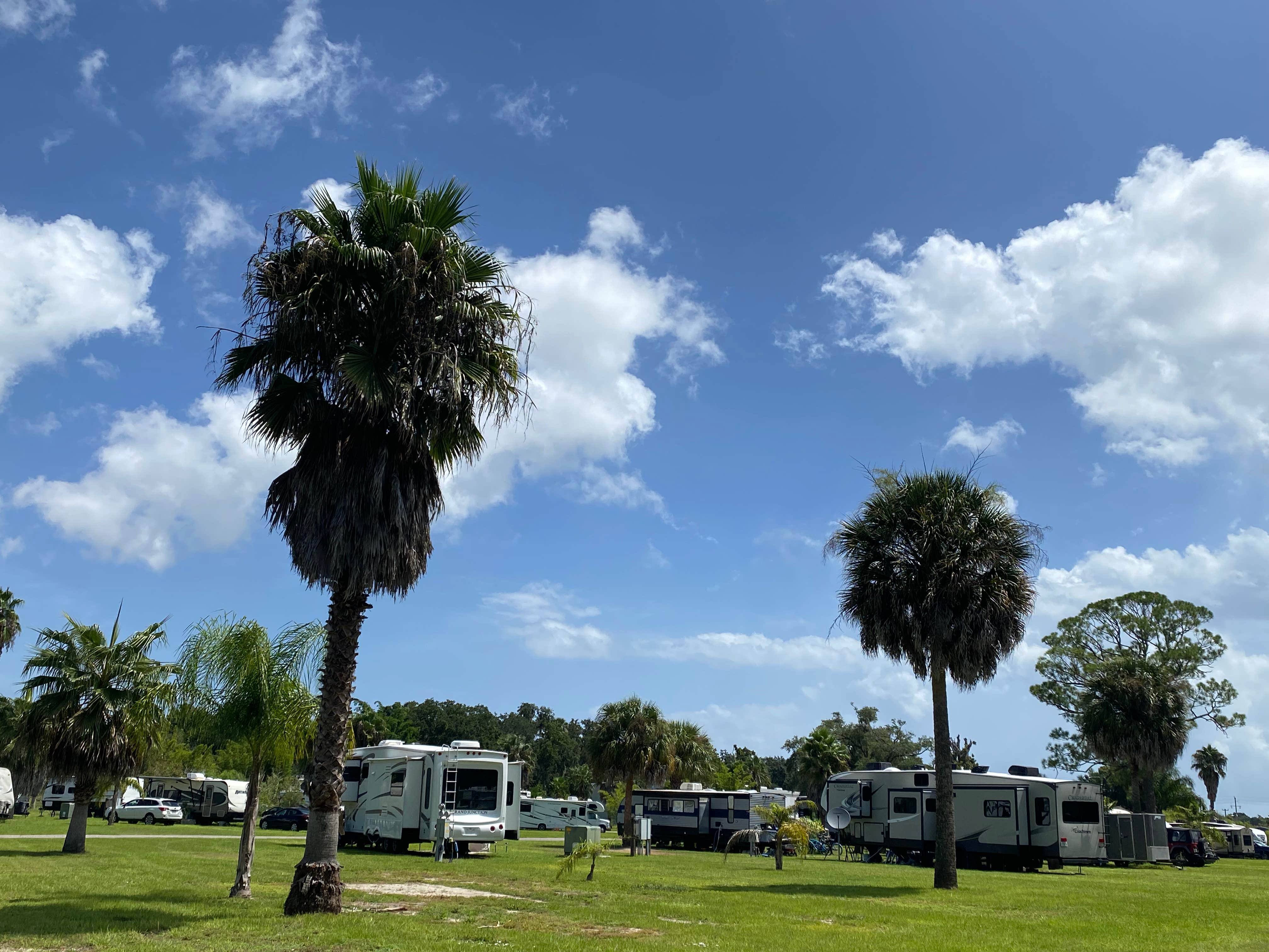 Camper-submitted photo at South Daytona RV Park &Tropical Gardens near Deltona, FL