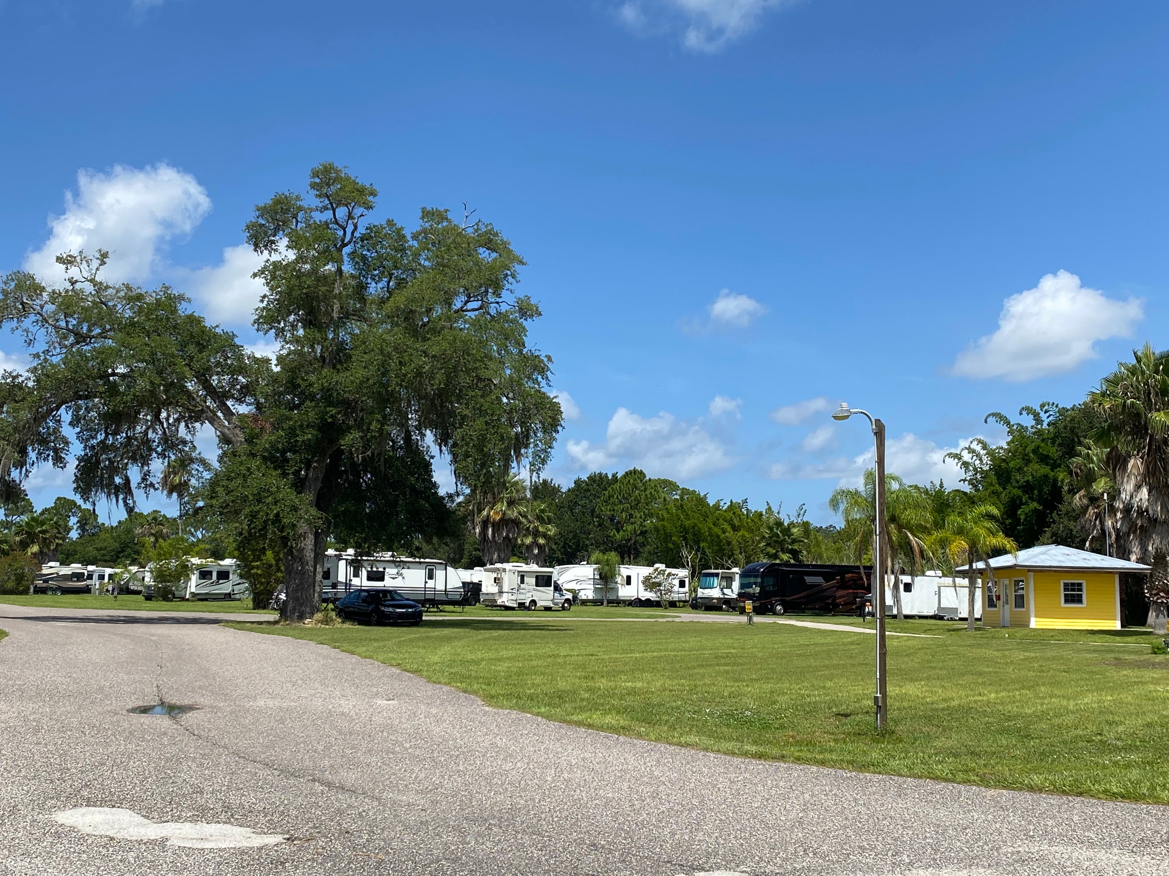 Camper submitted image from South Daytona RV Park &Tropical Gardens - 5