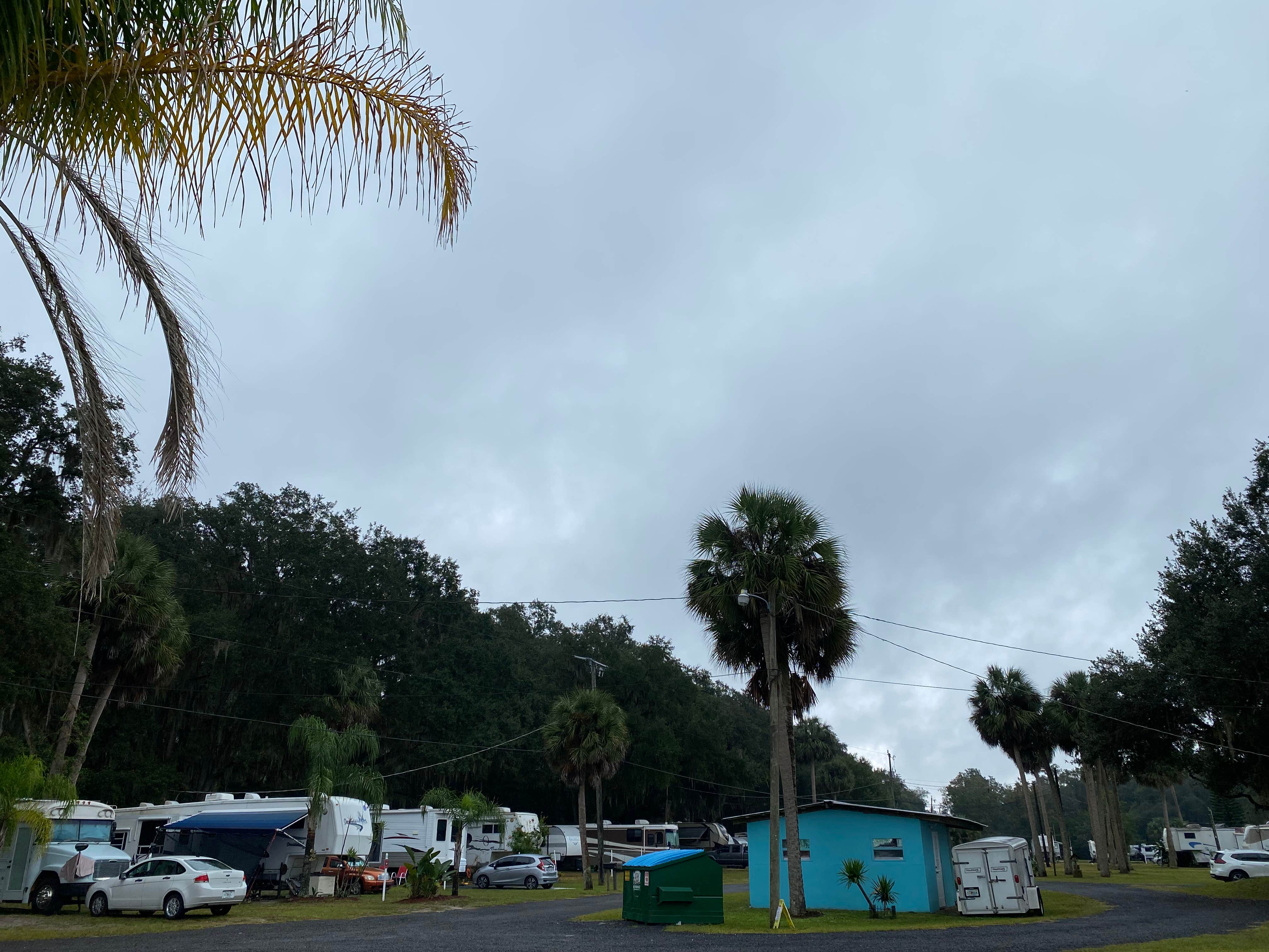 Roadside Canal Orlando : r/Fishing