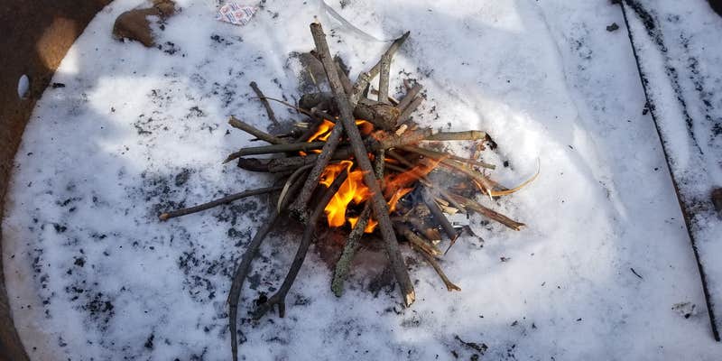 Camper submitted image from Knight Island State Park Campground