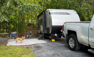 Tori K.'s photo of camping with pets at Apostle Islands Area Campground near Apostle Islands National Lakeshore
