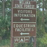 Review photo of Welaka State Forest by Stuart K., January 1, 2023