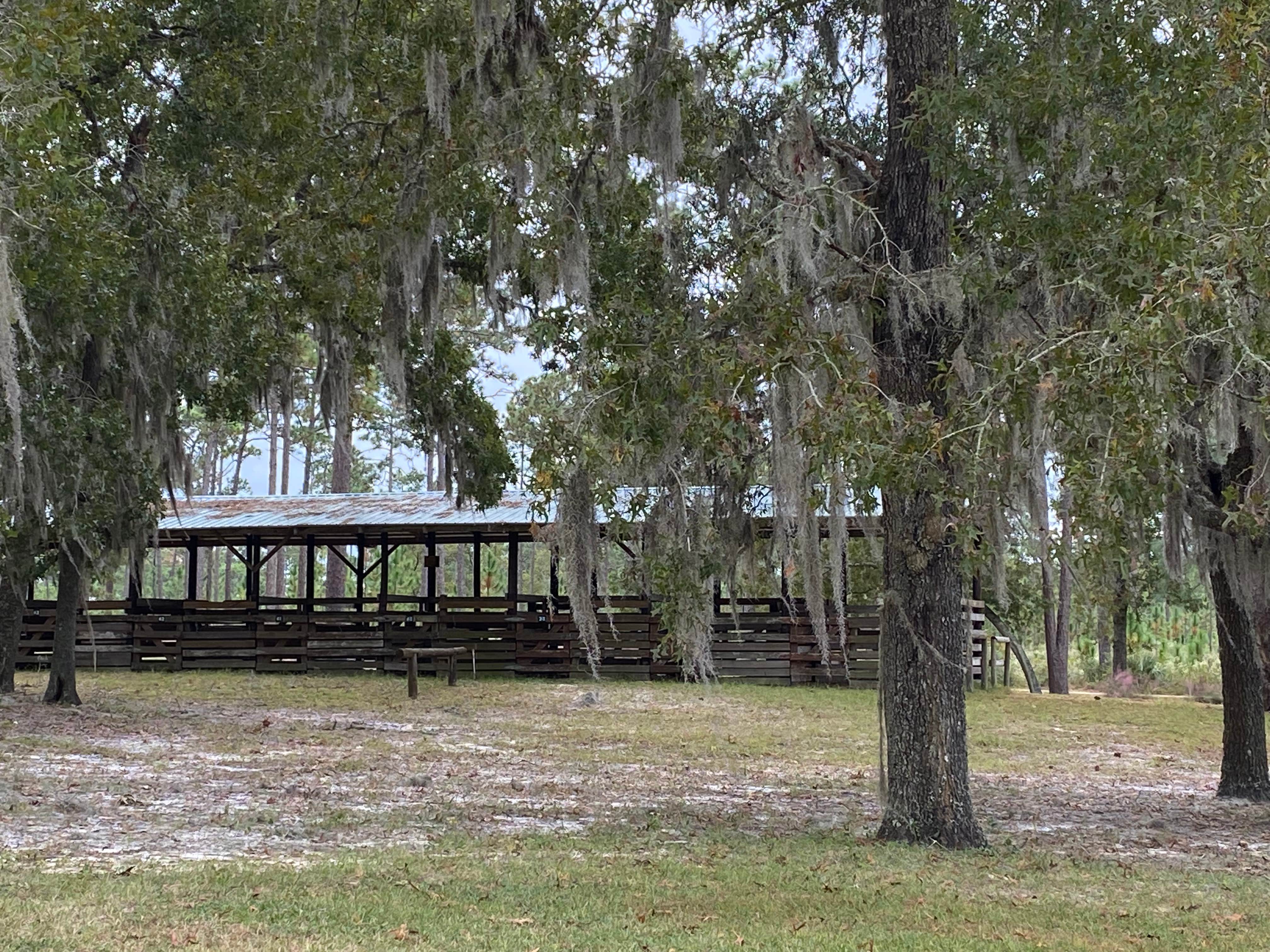 Camper-submitted photo at Welaka State Forest near Bunnell, FL