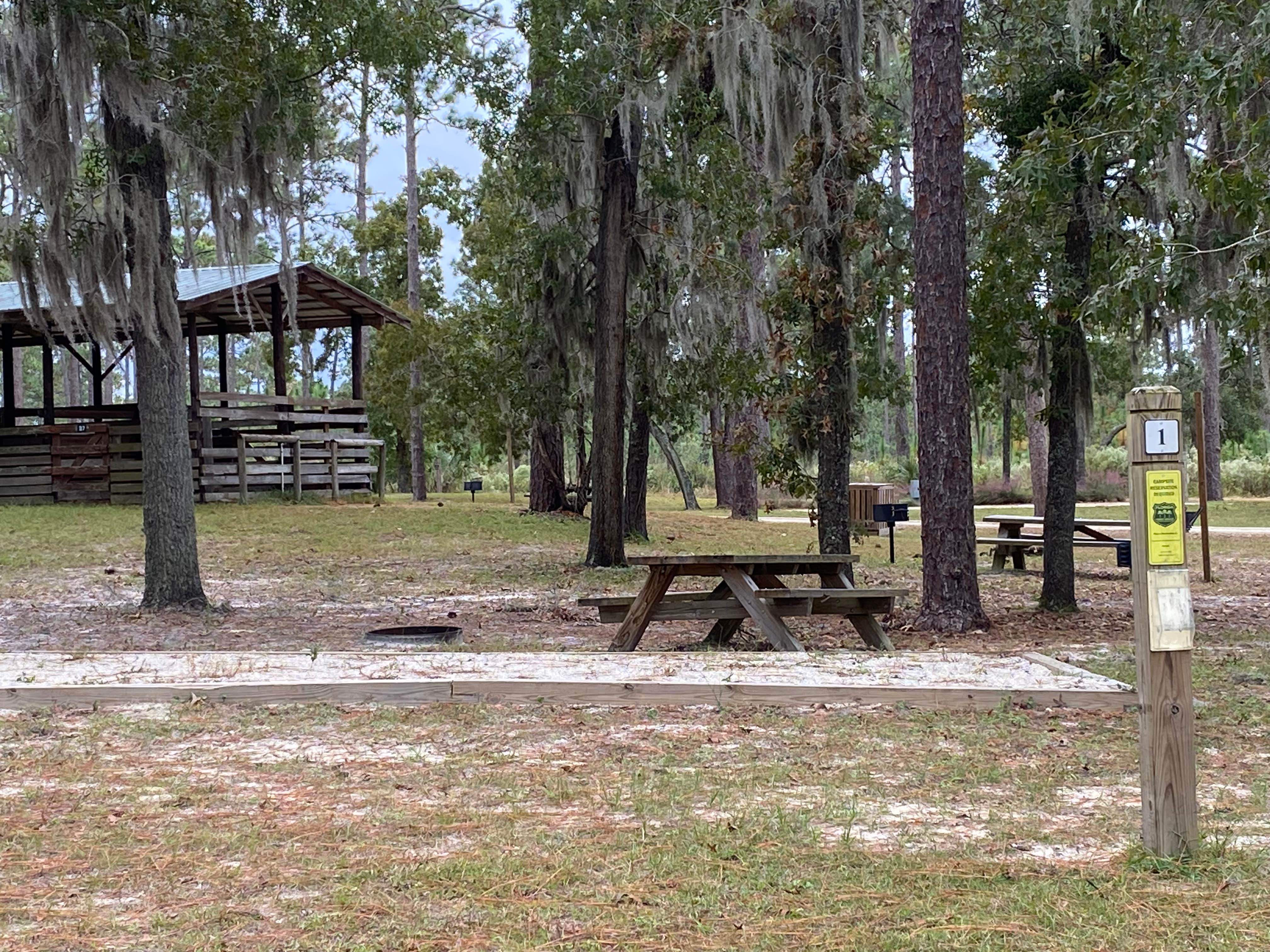 Camper-submitted photo at Welaka State Forest near Bunnell, FL